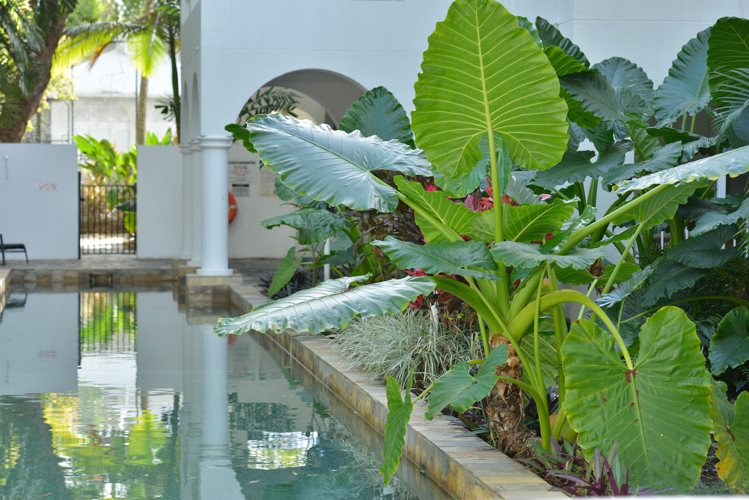 Hotel Mantra Portsea Port Douglas Exterior foto